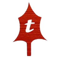 trenza - Editada